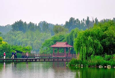 ʡg(yng)ДM******ع@